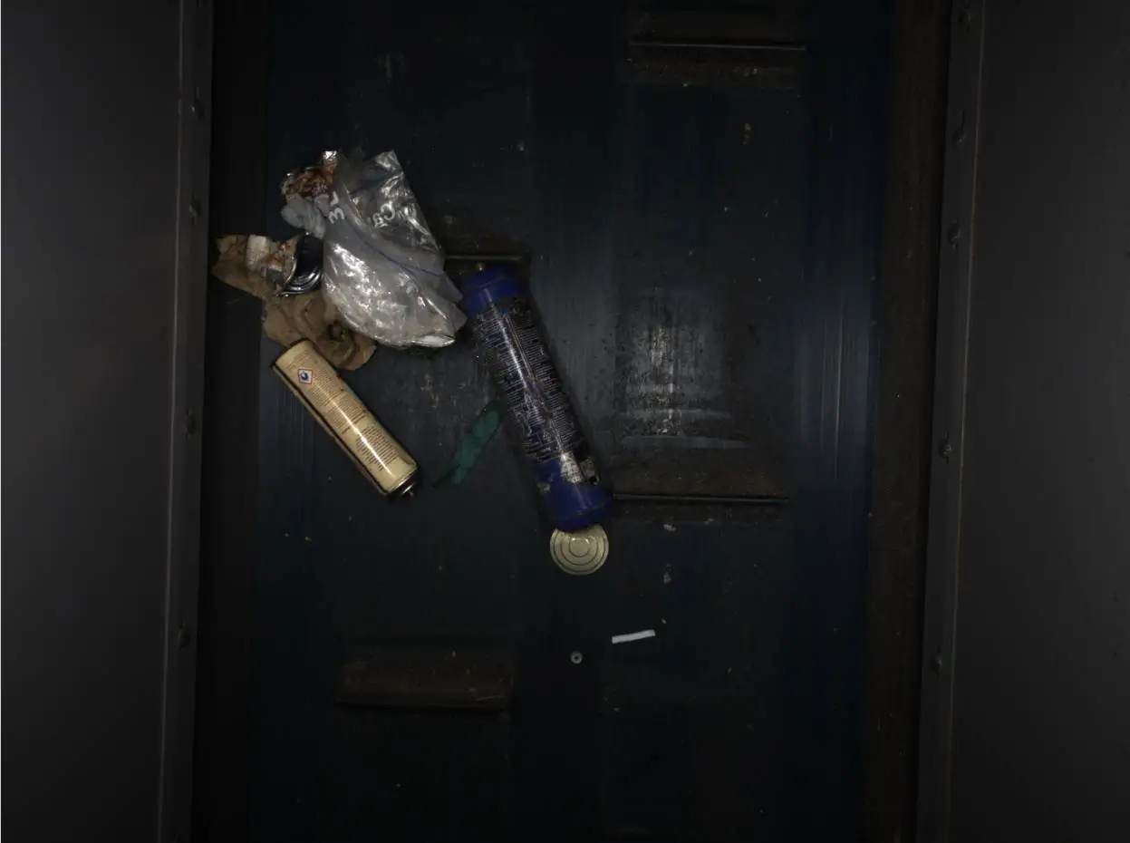 Image de l'analyse des données sans détections de la Wasoria Box